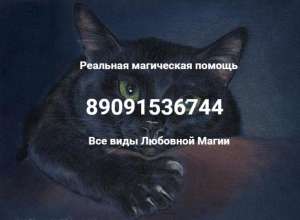 �����-����� ���� ,�����,����� � �� ��������,��� ���� �������� �����(��������-�������..) - ����������� 1