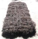 ������� � ����������: ���������� "�����" 2*1 � ������� 20 ��