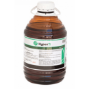 ���������� ����� �. �������� - �������/�������