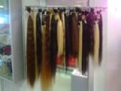 ������� � ����������: ���������� ����� � ������