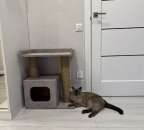 ���������� ����� � ������ � �������� ��� ����, ����� �� ���� ������ - ����������� 3