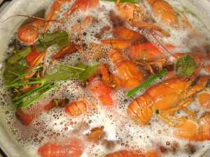 ���������� ����� � ������� ����� �� ����� ������ ����� � ������ - ����������� 1