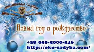 ���������� ����� �� ���� ������ � ���������� ������� - ����������� 1