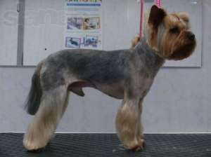 ���������� ����� �� ���������� �������, ������� � ������ ������������� ���������. - ����������� 1