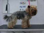 ���������� ����� �� ���������� �������, ������� � ������ ������������� ���������. - ����������� 2