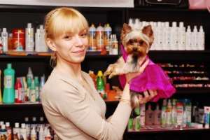 ���������� ����� �� ���������� �������, ������� � ������ ������������� ���������. - ����������� 1