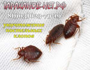 ���������� �����. ��� ����������, �������, �������? ��������� ��������� �� ������. - ����������� 1