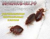 ������� � ����������: ���������� �����. ��� ����������, �������, �������? ��������� ��������� �� ������.