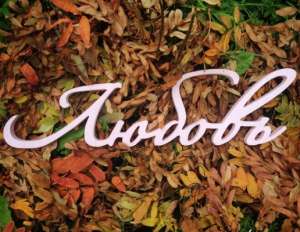 ���������� ����� ��� ����������, �������� �������, �����, ��� ������ - ����������� 1