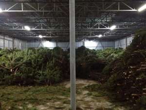 ���������� ����� ���� ����� � ��������� - ����������� 1