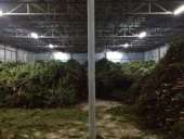 ������� � ����������: ���������� ����� ���� ����� � ���������