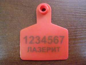 ���������� ����� ����� ��� �������� - ����������� 1