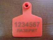 ���������� ����� ����� ��� ��������