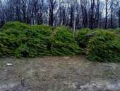 ������� � ����������: ���������� ����� ����� ����� 2016-2017