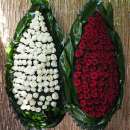 ���������� �����, �������, �������� ������. �������� �� ����� - ����������� 2