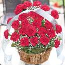 ���������� �����, �������, �������� ������. �������� �� ����� - ����������� 3