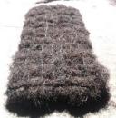 ���������� "�����" �������, ��������� - ����������� 3