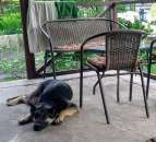 ���������� �����. ��������, ������� ���. �����, ������ ��� ����� - ����������� 3