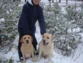 ���������� ����� ��������� ��� ��� - ����������� 1