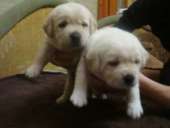 ���������� ����� ��������� ��� ��� - ����������� 2