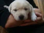 ���������� ����� ��������� ��� ��� - ����������� 3