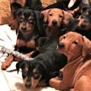 ������� � ����������: ���������� ����� ��������� �������