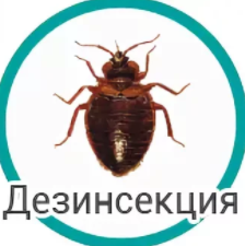 ���������� ����� ����������� - ����������� 1