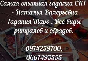 ���������� �����. ����������� ������. ������ �������� ����. - ����������� 1