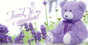 ���������� ����� �����������, ��������, ���������� ����� - ����������� 1