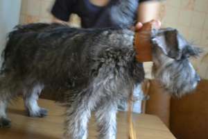 ���������� ����� ��������������� - ����������� 1