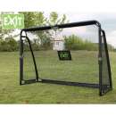 ������� � ����������: ���������� ������ EXIT Maestro Goal