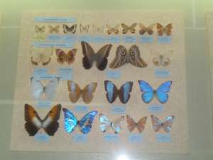 ���������� ������ - ����������� 1