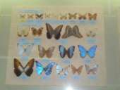 ������� � ����������: ���������� ������