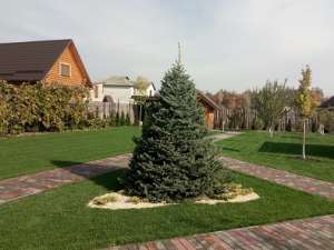 ���������� ������ - ����������� 1