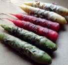 ���������� ������ - ����������� 3