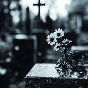 ���������� ������ � ���� 200 � �������� - ����������� 1