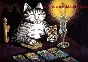 ���������� ������ � ������ �����, �������� ���� - ����������� 1