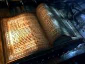 ���������� ������ � ���������! ��������, �������, �������� �� ����. ����� �����, �����, ���������! ������ �� ����������!. �����, ������� � ����������� - ������