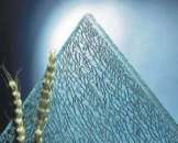 ������� � ����������: ���������� ������ �� ����� � �������