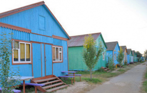 ���������� ������ �� �������� ����. ���������� �������. ������������. �������� ����� �� ��������� �������. - ����������� 1