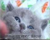 ���������� ������ �� ����������� ��������� ����� - ����������� 2