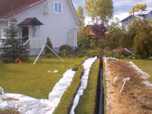 ���������� ������ ���� - ����������� 1