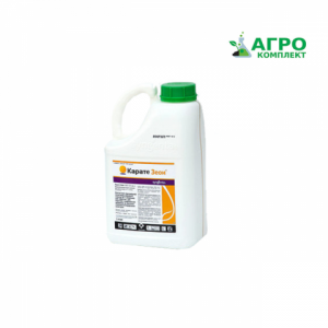 ���������� ������ ���� - ����������� 1