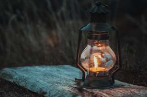 ���������� ������ ���� - ����������� 1