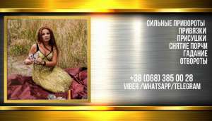 ���������� ������ ����. ������. �������. �������. - ����������� 1