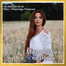 ������� � ����������: ���������� ������ ����. �������. ���������. ��������.