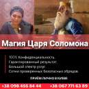 ���������� ������ ����. ������������ ���������. �������� �������� ����. ������ ���� ����. - ����������� 2