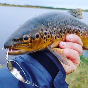 ���������� ������ ����� - ������ ����, ������� �������� - ����������� 1