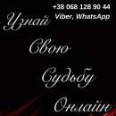 ������� � ����������: ���������� ������. �������.