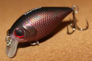 ���������� ������! ������� �����! ������ ����! - ����������� 1